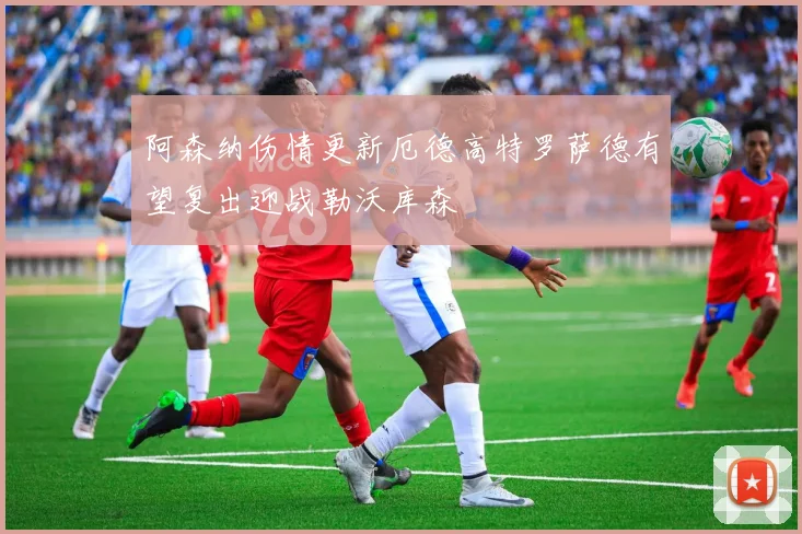 阿森纳伤情更新厄德高特罗萨德有望复出迎战勒沃库森