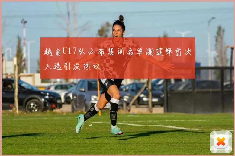 越南U17队公布集训名单谢霆锋首次入选引发热议