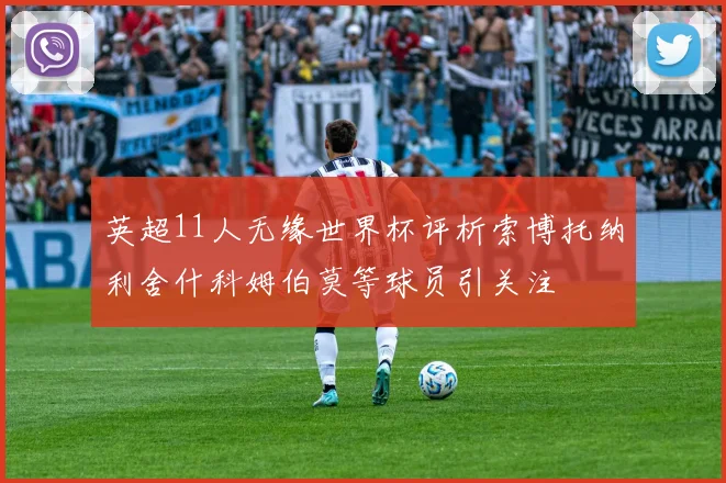 英超11人无缘世界杯评析索博托纳利舍什科姆伯莫等球员引关注